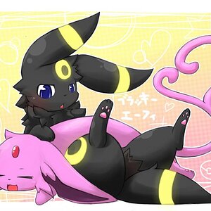 espeon and umbreon 1