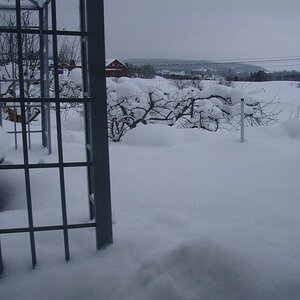 Seriously.. this is not fun. 70 centimetres of snow? I hate this place aaaaaaaaa -_- It's cold too..