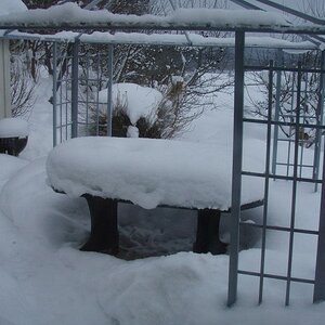 Yes, there actually is a table under all that snow. -_-
