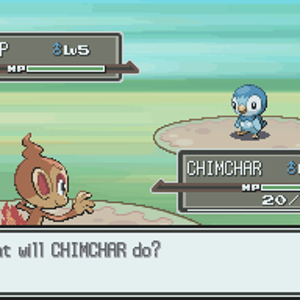 What will CHIMCHAR do?