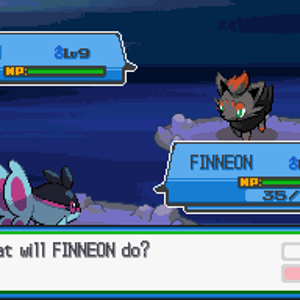 PokemonCornflowerScreenshot1=FinneonVSZorua