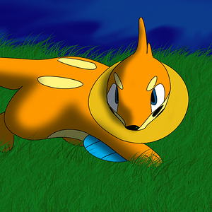 A wild Buizel Appeared!