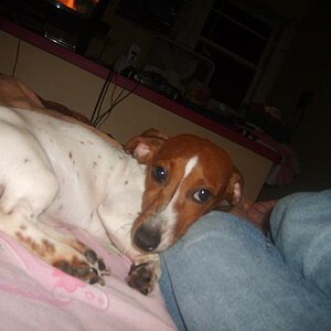 ~Le Daisy Duke