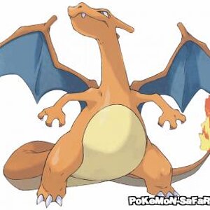 My Favorite Charizard