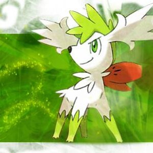 Shaymin Sky form banner