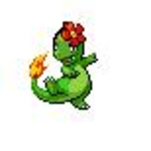 Bellossom Charmander
