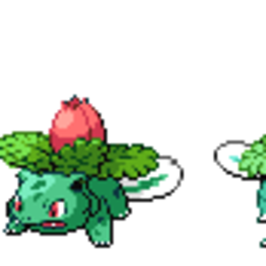 Bulbasaur, water and grass type