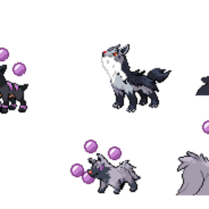 Sik (Poochyena), Dizeezd (Houndour), Crasie (Mightyena)