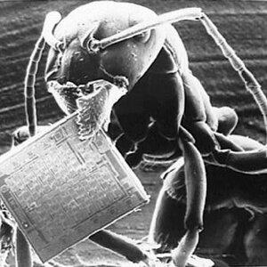 ant and microchip (Electron microscope image)