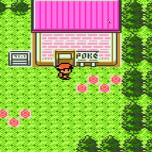 mr pokemon house 02 Apr. 08 05.37