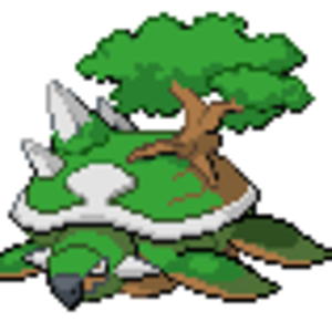 Island Turtle