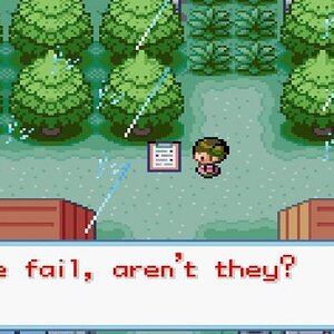 Stupid trainer signs