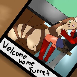my furret