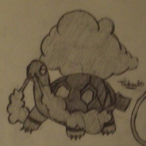 Torkoal