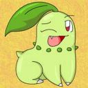 chikorita