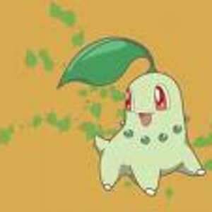 chikorita