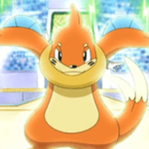 Buizel