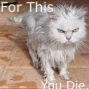 For this 
you die