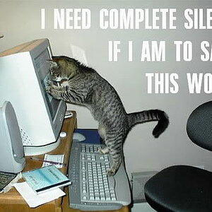 complete silence