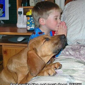 Praying Dog