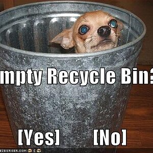 Recycle Bin