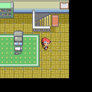 Pokemon Fire Red Platinum2