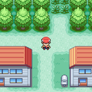 Pokemon Fire Red Platinum5