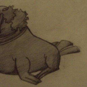 Walrein