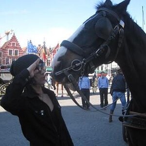 HITT meets horsey. <3 LOL HE'S SO ADORABLE. XD