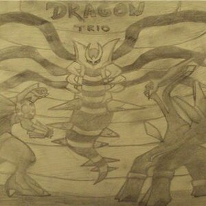 The Sinnoh dragon trio