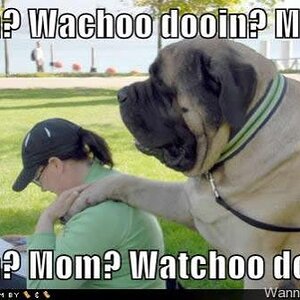 woof