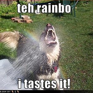 Taste the rainbow