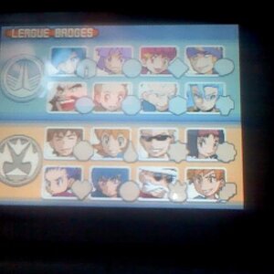 Pokemon HeartGold Badges
All 16.