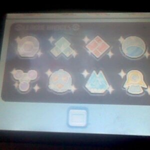Pokemon Diamond Badges
All 8.