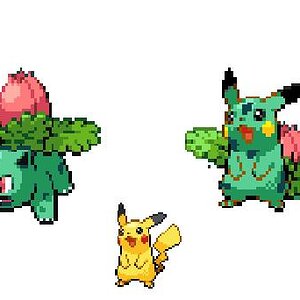 pika saur
