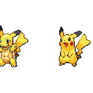 squirtle1