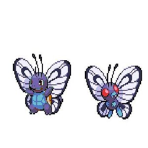 squirtle3