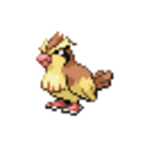 Pidgey