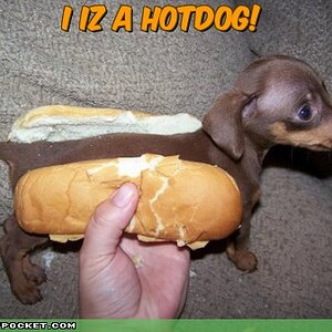 A real "hotdog" XD