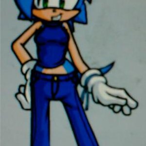 Sonikku the hedgehog