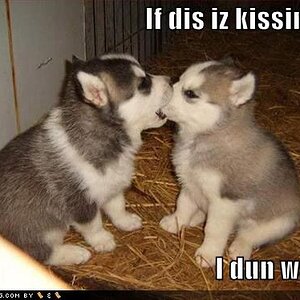 dun want kissing