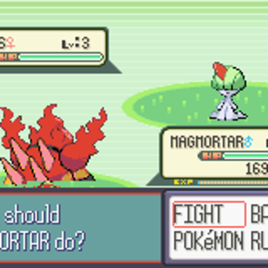 Pokemon Dark Ruby3