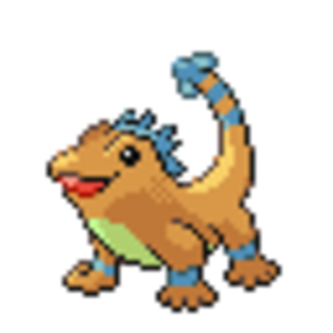 Lizard