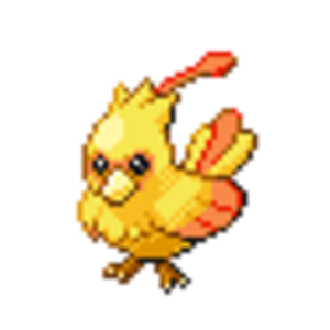 Yellow cardinal