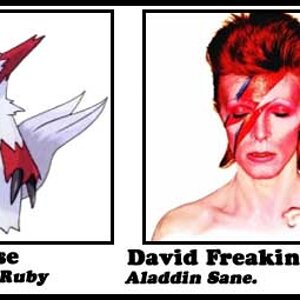 zangoose pokemon ruby   david bowie