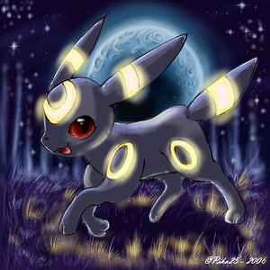 Midnight Umbreon