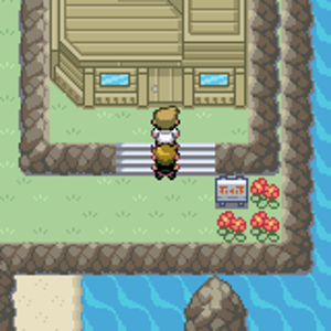 1636   Pokemon   Fire Red Version (U) 03