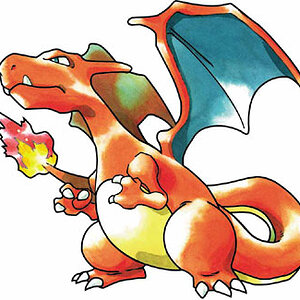 Charizard Picture Number Three