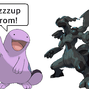 Wazzup Zekrom!