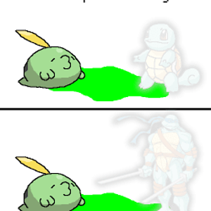 55NinjaTurtle